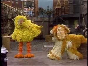 Sesame Street 1587: Big Bird Plays Fetch with Barkley (1981)