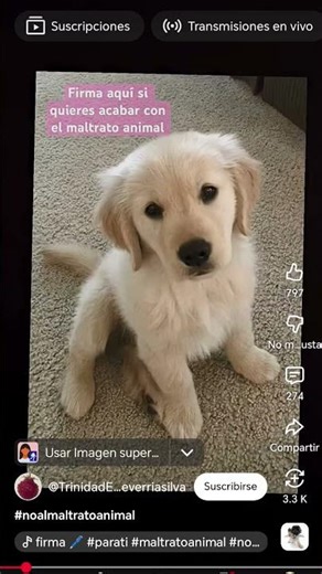 firma aquí para terminar con el maltrato animal 🖋️
