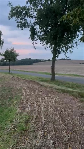 Tuning the Simson S51: A Comprehensive Guide