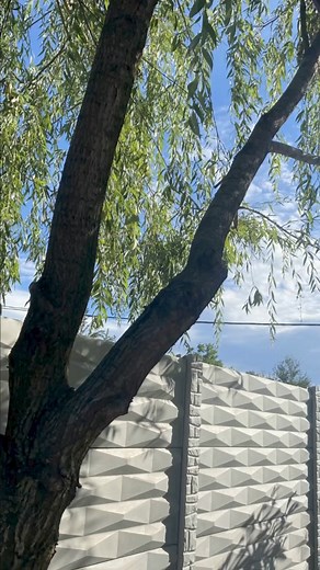 Cauți un design simplu sau unul sofisticat pentru gardul tău? 👀 ➡️ La Matrilab, găsești matrițe pentru toate gusturile! Vizitează-ne direct la fabrică sau vezi toate opțiunile noastre pe site! https://www.matrilab.ro/matrite-gard Ne găsești aici: ⬇️⬇️⬇️ 🌐https://www.matrilab.ro/ ☎️0771.580.985 📧contact@matrilab.ro 📌Sat Calopăr, Comuna Calopăr, Nr. 639, Județ Dolj #Matrilab #FabricaDeMatrite #Matrite #MatritedeGard #MatriteStalpi #MatriteAccesoriiGard #MatritePanouDecorativ #MatritePiatraDeco