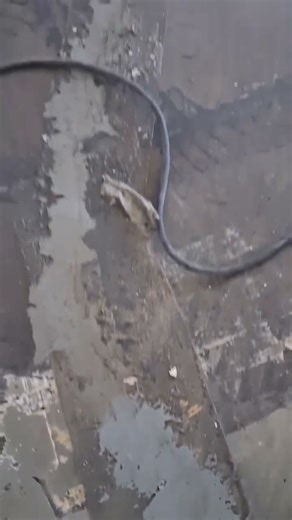 15 de octubre de 2025