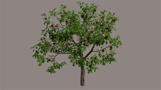 Growfx 植物生长动画