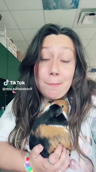 Guinea Pig Hack: Cat Bed Hideaway for Chunky Pigs!