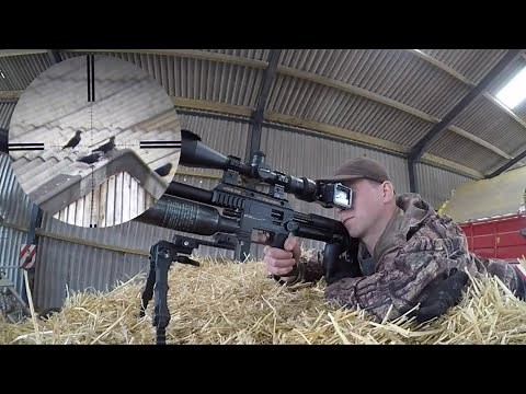 Farmyard pest control UK air rifle Compilation