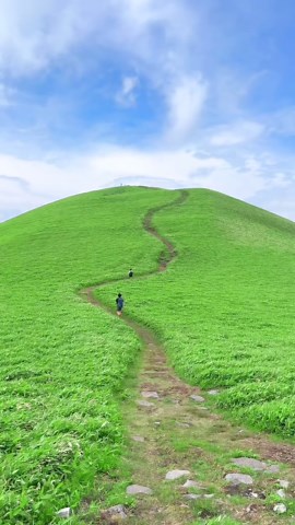 日本の美しい夏の景色