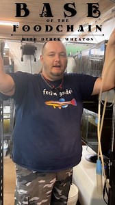 Today we’re talking nematodes! Thanks Derek for teaching us 🐟🩵 #fish #fishing #conservation #education #learnontiktok #science #biology #underwaterphotography #rivers #endangeredspecies #climatechange #nativefish #savethefish #waterislife #rivers #tennessee #wildlife | Conservation Fisheries, Inc.