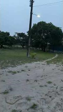 We need to trust in the Lord 🙏🏼 #salvationword #prayer #servantsofgod #faith #eternallife #reflec...