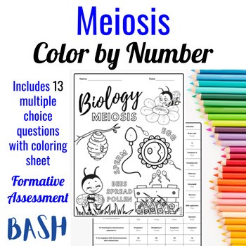 Biology Meiosis Color by Number Worksheet | Engaging Genetics Activity