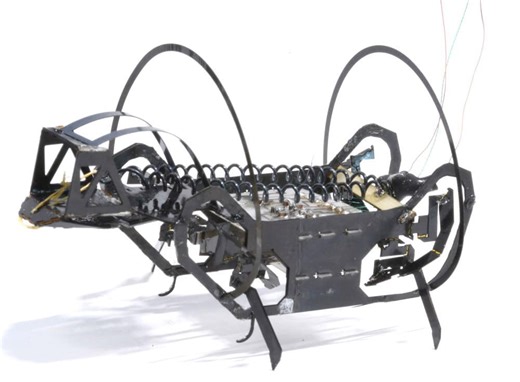 Harvard's springtail-like jumping robot leaps into action – Physics World