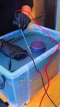 🤔Why does it change color with just a touch？#Titanium#ScienceTricks#Innovation#CoolScience#fyp