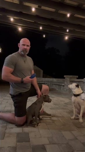 Pack Member Confirmed: Shadow’s Collar Ceremony!