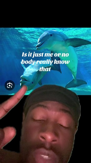 #greenscreen like and follow for more #fyp #dolphins