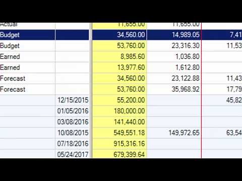 Lesson 2 Deltek Cobra 8 0 Orientation Training