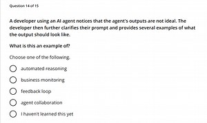 A developer using an AI agent notices that the agent's outputs ... | Filo