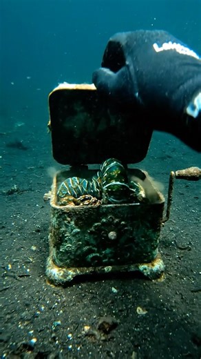 I wound up an underwater MUSIC BOX... Big Mistake! 🎶📦💥