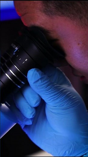 Adjustment & Calibration丨Synchronous Zoom Trinocular Stereo Microscope