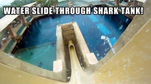 132K views · 244 reactions | Would you slide into a shark tank? The "Leap of Faith" water slide at Aquaventure at Atlantis The Palm, Dubai does exactly that! | Theme Park Review | Facebook