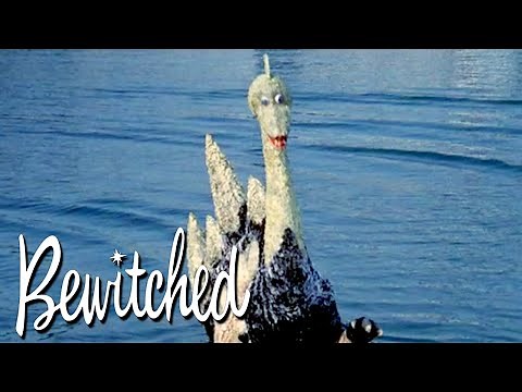 Samantha And Darrin See The Loch Ness Monster | Bewitched