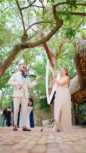 The Fate of Ophelia on Violin and Harp | Wedding Cocktail Hour