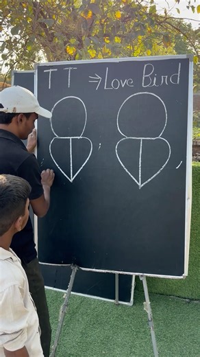 TT = How to draw Love Bird with step by step | #ashortaday #art #shorts !