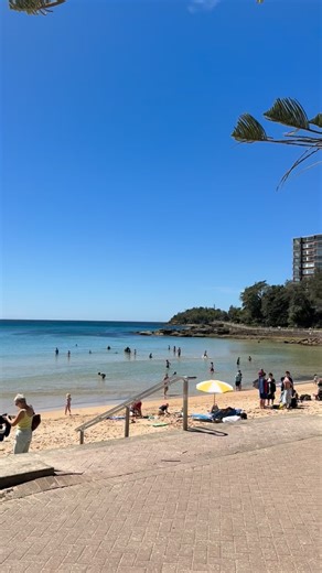 23K views · 849 reactions | ✨ Manly is ON today ✨ | Manly Observer | Facebook