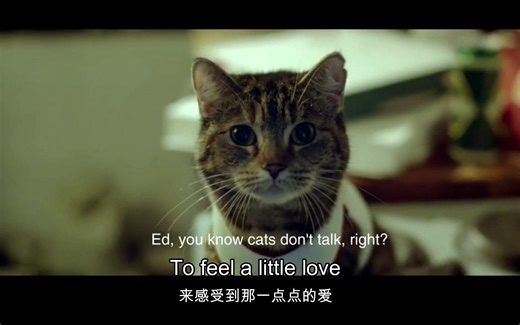 【中英字幕】Drunk—Ed Sheeran【官方MV】