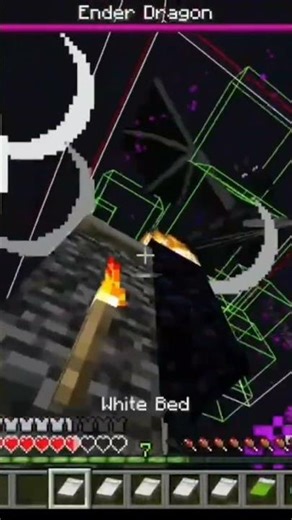 my craziest minecraft speedrun