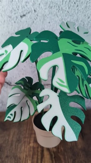 3D Printed Monstera Leaf Coasters: Functional Plant Decor, Plant Lover Gift, Stocking Stuffer - Etsy