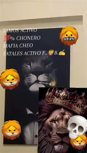 Videos de 🦁 (@pelao_mathius) con “sonido original - 🦁”