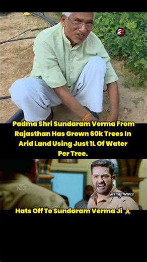 A Green Mission In Arid Lands🌱 #rajasthan #plantingtrees #environment #snapnewzz #realhero#padmashri