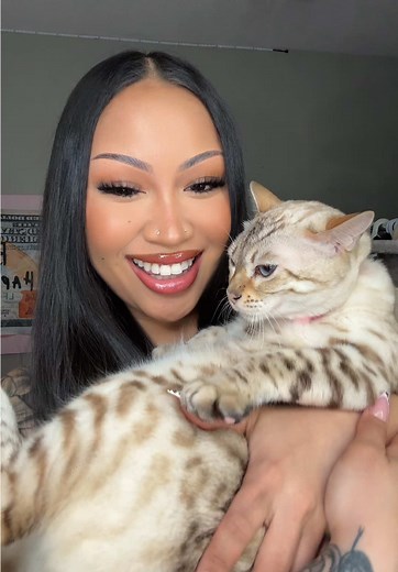 Bengal Cat: Adorable Moments and Cute Meowing
