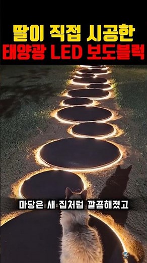 태양광 LED 보도블럭 DIY, 딸의 손끝에서 완성된 빛의 길