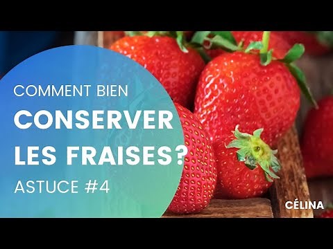 #4 Comment conserver les fraises plus longtemps?