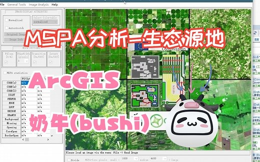 MSPA分析-基于Guidos和ArcGIS【教程】