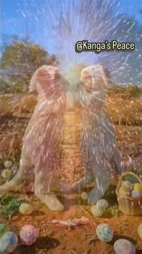 Kangaroos in Bunny Suits Caught Hiding Easter Eggs! 🎆😜#shorts #viral ウサギの着ぐるみカンガルーがイースターエッグ隠し中