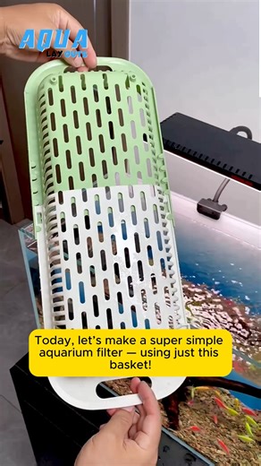 Aqua Layouts on Instagram: "This Basket Just Became a Filter! #aqualayout #aquariumfish #viral #reels #fishtank #fishtanks #fishlover #aqualover #aquaX #foryou #viral #aquascape"
