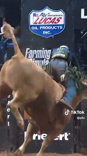 Bull Riding Wrecks: Thrilling Close Calls and Stunts