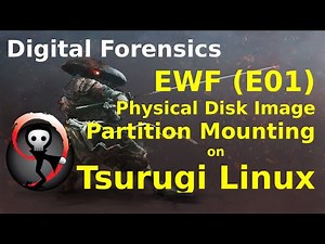 Physical Image and Partition Mounting in Tsurugi Linux