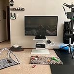 WALL V5 High Type | Minimalist Rolling TV Stand for 32–80 Inch | Walnut | Portable, Space Saving, Height Adjustable, No Drill | for Living Room and Bedroom | Japanese Design & Engineering