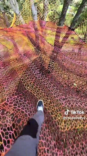 Elevating Treehouses: Webbed Environments for Maximum Bliss