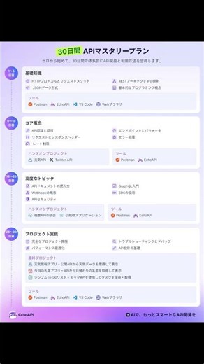 ゼロから始めて30日でAPIを完全マスター！ #api #効率化