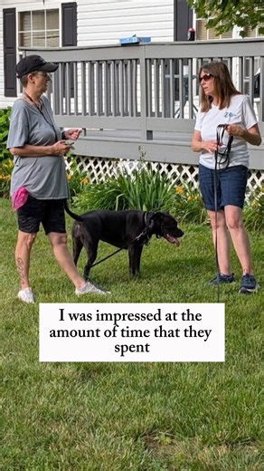 💬 “The progress we’ve seen is incredible.” Dori & Neko’s journey is a perfect example of what calm leadership, clear communication, and consistent training can do. We’re so proud of this team — and grateful to be part of their story. 🐾💛 #DogTraining #DogTrainer #DogTrainingAtHome #DogTrainerLife #GoodDog #SuccessStory #CincinnatiDogs #DogTrainingElite | Dog Training Elite Greater Cincinnati