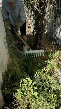 SATISFYING Free garden makeover - Helping him after a NASTY fall