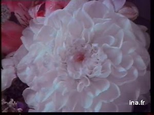 Campagne plantes WWF