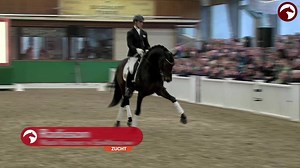 Heute ab 19:30 zeigen wir euch die Böckmann Pferde Hengstvorführung im Rahmen der Lastruper Spring Days! Mit dabei sind unter anderem Checkter, der Springsieger der Sportprüfung für Hengste in München-Riem, der international erfolgreiche Lord Pezi Junior und die Dressurstars Radisson und Fidertanz. Hier könnt ihr live kostenlos dabei sein http://www.clipmyhorse.tv/de_DE/live/1917/lastruper-spring-days | ClipMyHorse.TV Deutschland