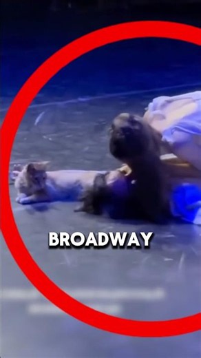 Unexpected Cat Interrupts Theater Scene