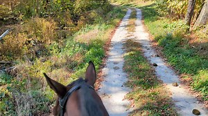 Stone Gate Farm on Reels