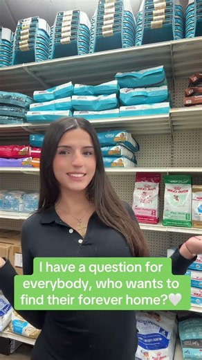 Twinning With A Purebred Husky Puppy! 🐶🤍 The Cutest Pair | Petland Miami