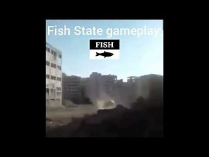MTC4 fish state gameplay