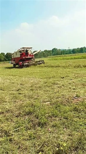 Harvesting #harvestertv